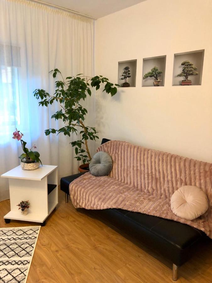 Mia'S House Appartamento Piteşti Esterno foto